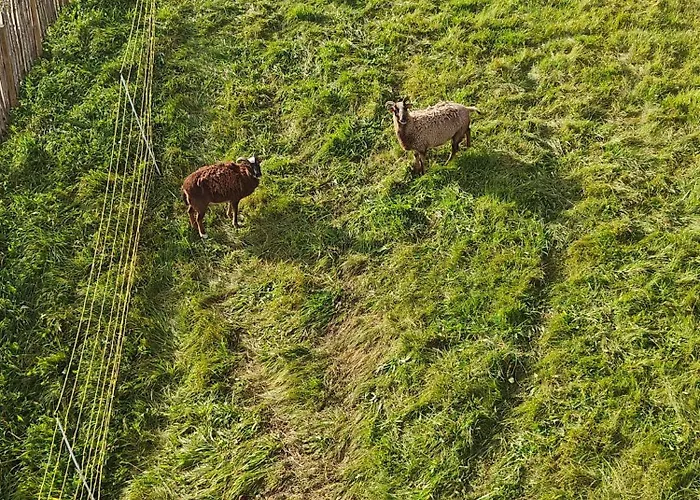 Le Grenier De Math *